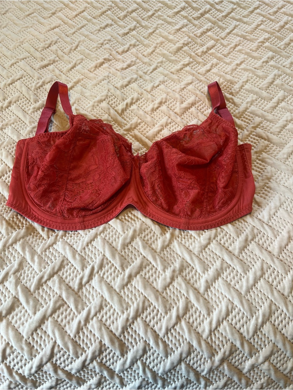 Panache Imogen Rust Orange Lace Underwired Full Cup Bra Hook & Eye Size 30J